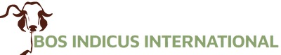 Bos Indicus International Logo