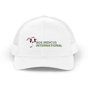 Snapback Trucker Cap